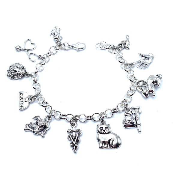Veterinarian Charm Bracelet Animal Doctor - Picture 3 of 7